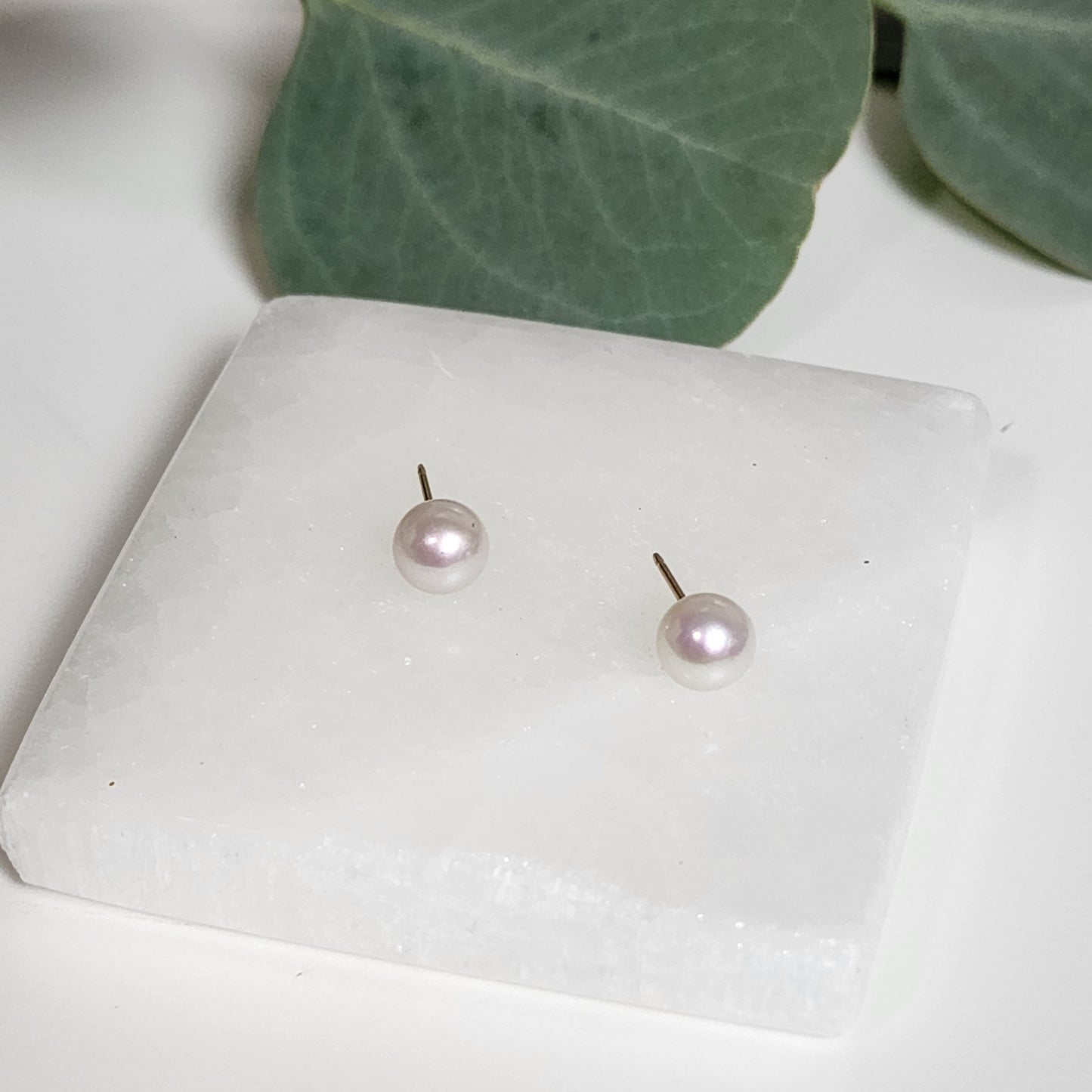 Pearl Studs