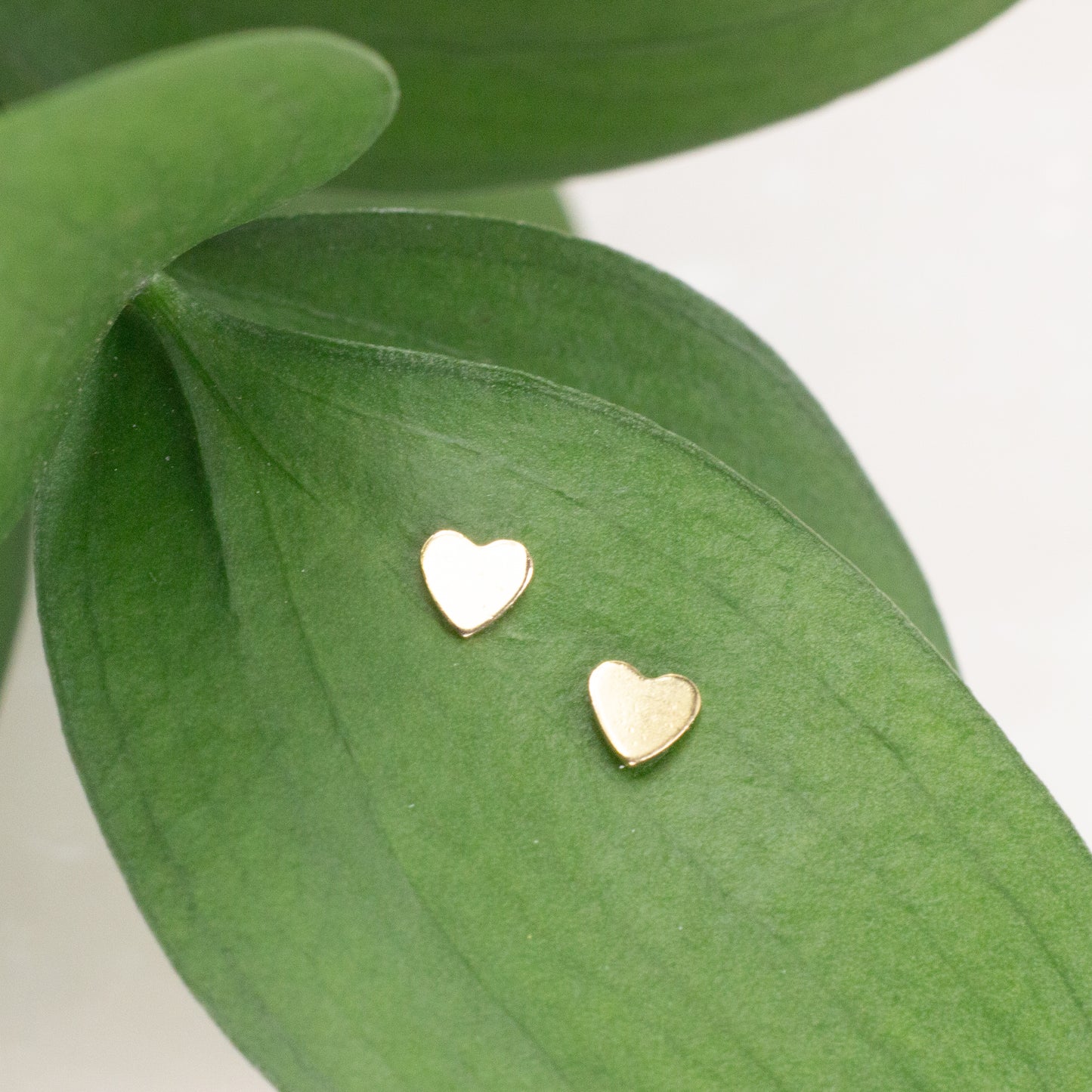 Tiny Heart Studs